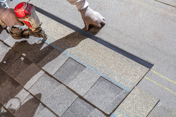 Best Roof Repair Services  in Old River Winfree, TX